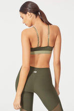 Load image into Gallery viewer, Ivy League - The January Collection (2020)
