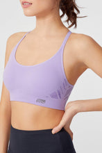 Load image into Gallery viewer, Violet Rhapsody - One Time Purchase
